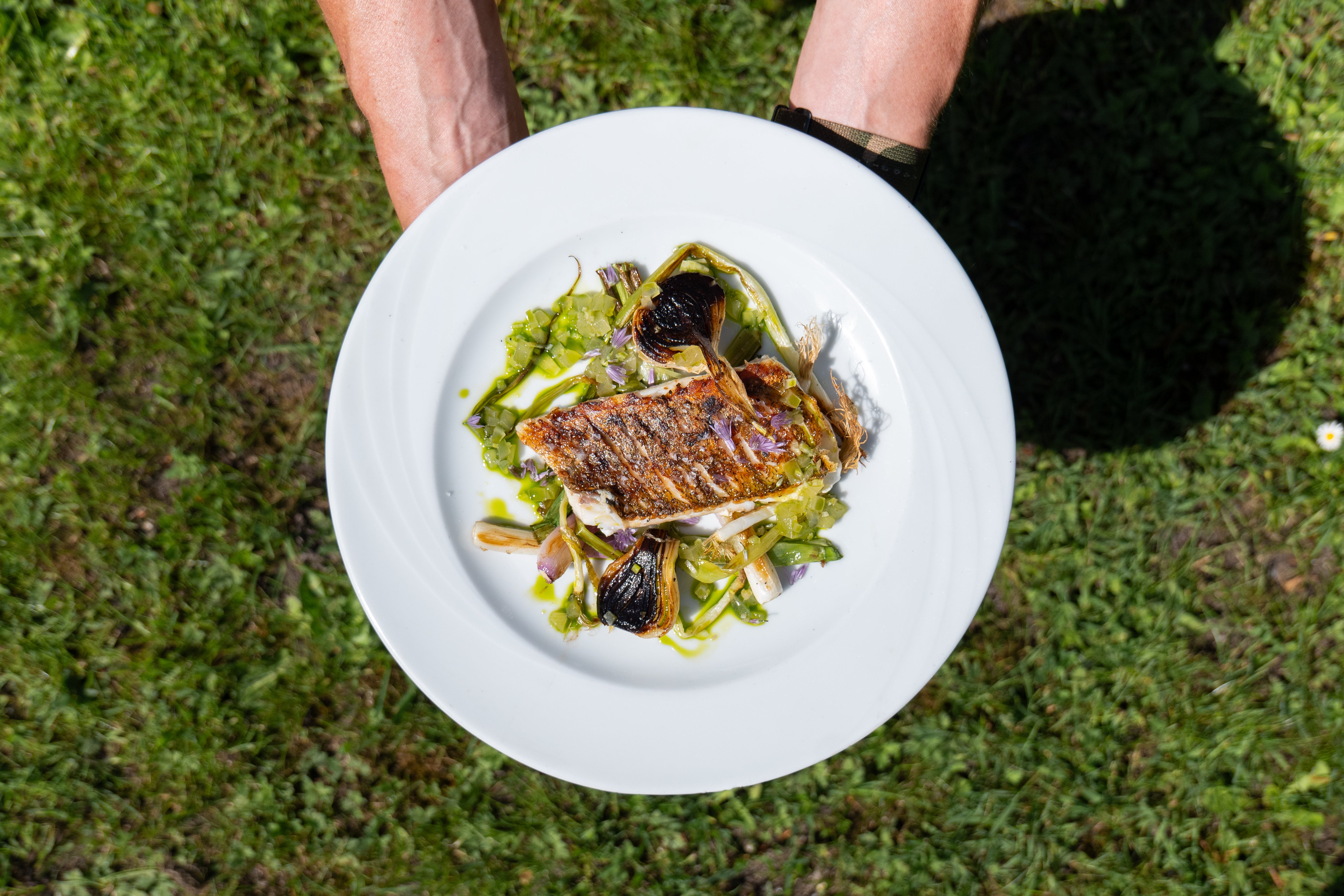 Thomas Rode's Fried Zander with New Onions and Onion Oil